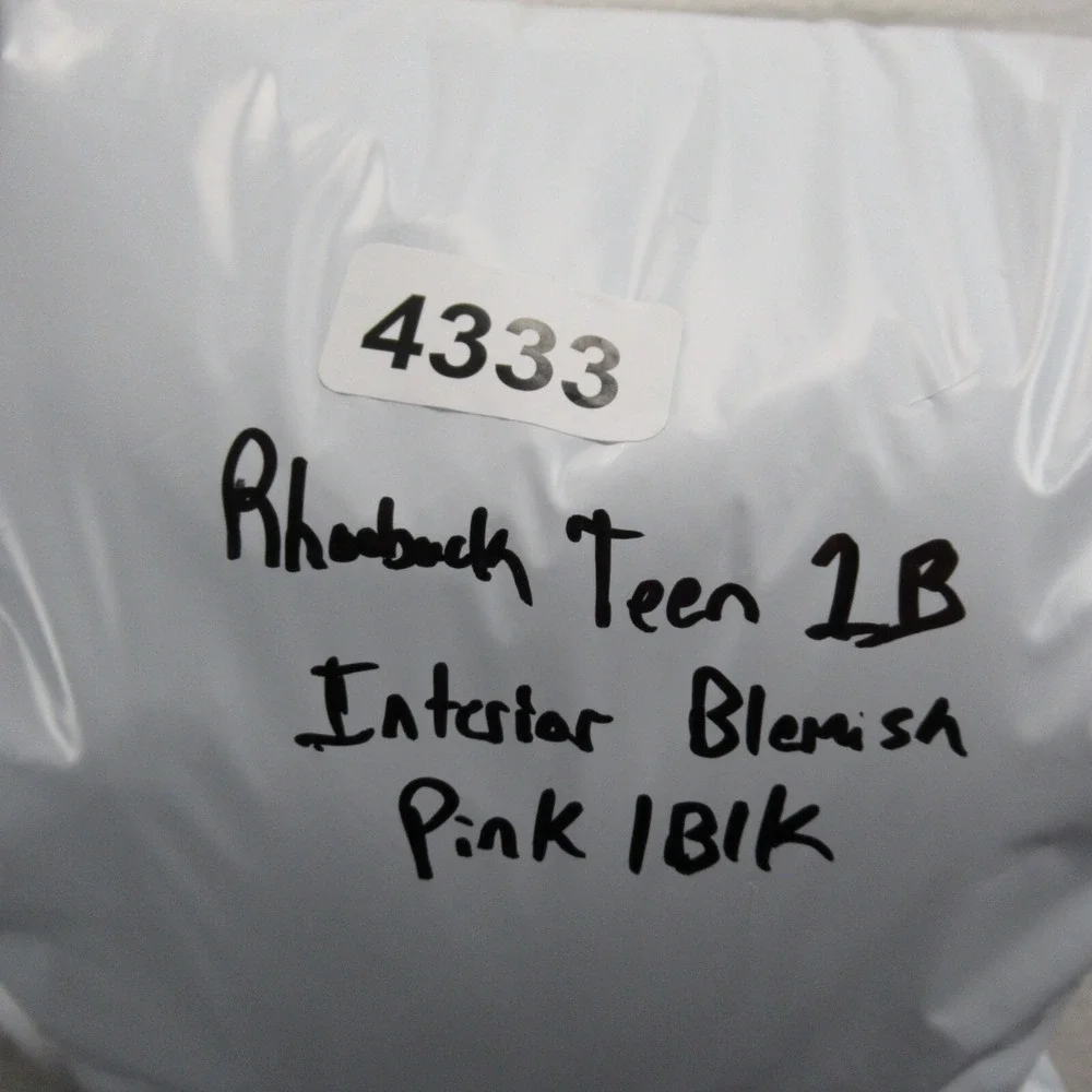 Roebuck & Co Jacket Youth Medium 10/12 Pink Colorblock Full Zip Insulated Winter